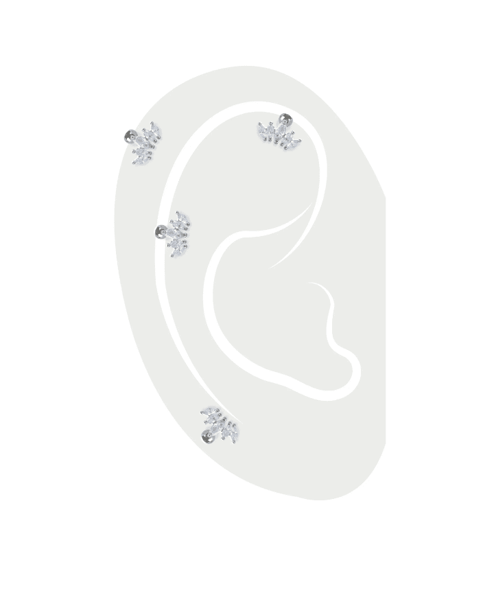 Crown Piercings