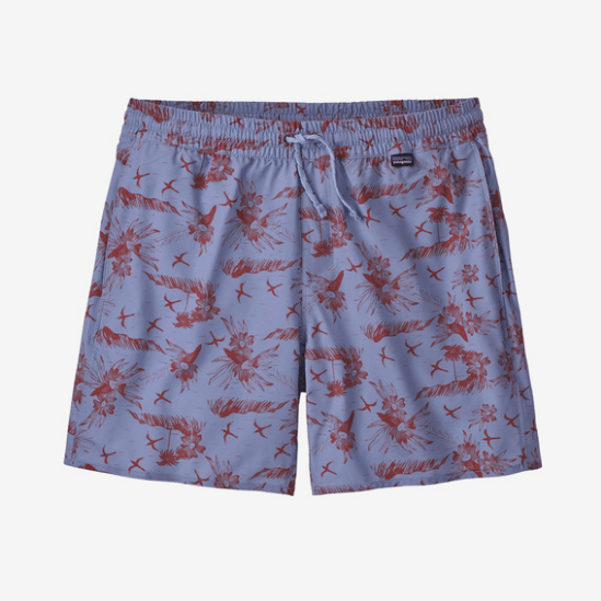 Patagonia Hydropeak Shorts